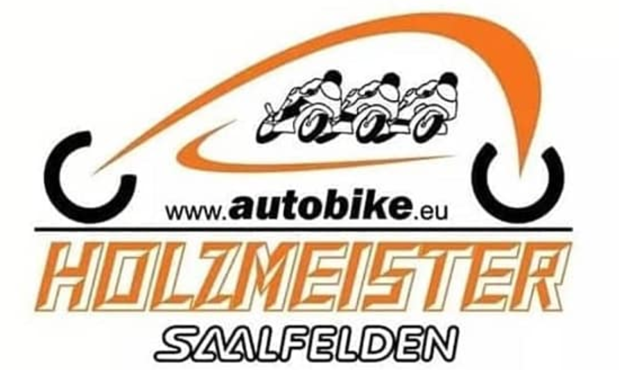 Logo Holzmeister